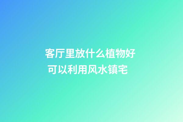 客厅里放什么植物好  可以利用风水镇宅